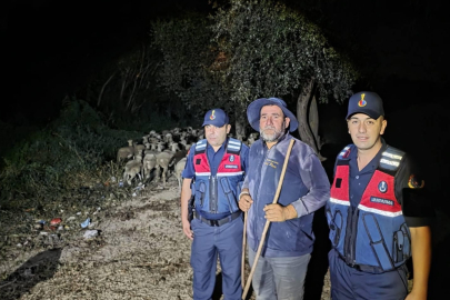 Kayıp ihbarı yapılan çoban ile 100 koyun bulundu