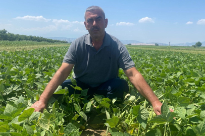 Bu köyde çiftçi sadece tarlasını hazırlıyor, gerisini kooperatif yapıyor
