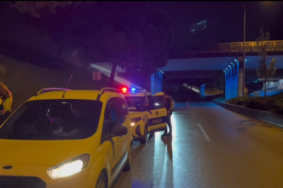 Kardeş kavgası babayı yola, polisi sokağa döktü