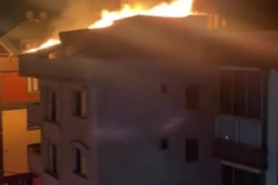 Bingöl’de 16 dairelik bina alevlere teslim oldu
