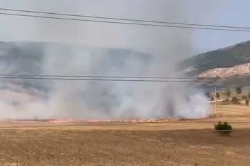 Bursa'da tarlalık alanı ateşe veren şüpheli yakalandı