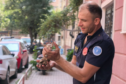 Yağmur suyu giderine sıkışan kediyi itfaiye kurtardı