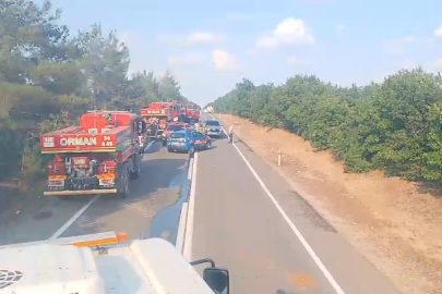 Edirne'de anız yangını ormana sıçradı
