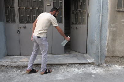 Bursa'da hayvanlara şiddet iddiası: Apartmandan dehşet çıktı, mahalleyi pireler bastı