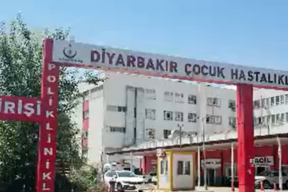 Diyarbakır’da kedinin ısırdığı çocuk entübe edildi, testlerde kuduz çıktı