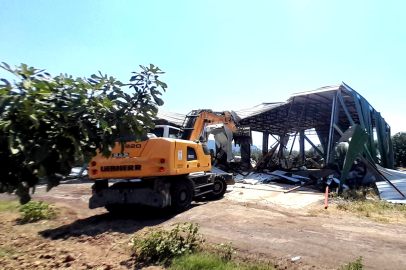 Osmangazi’de Zeytinliğe Yapılan Kaçak Depoya İzin Yok