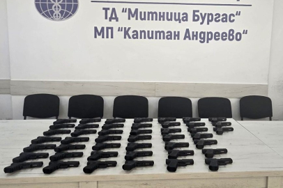Sınır kapısında incir yüklü tırda 45 adet silah ele geçirildi