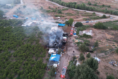 Bursa'da çiftlik alev alev yandı