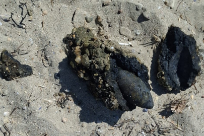 Çanakkale'de plajda savaştan kalma olduğu değerlendirilen askeri mühimmat bulundu