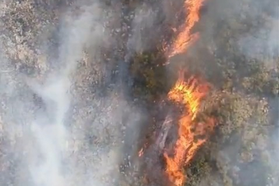 Bursa'da orman yangını...Havadan karadan yoğun müdahale başladı