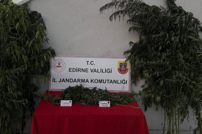 Edirne’de 52 kök kenevir ve 1 kilo 310 gram esrar ele geçirildi: Kenevirleri sularken suçüstü yakalandı