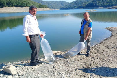 Orhaneli’de göletler sazan yavrularıyla buluştu