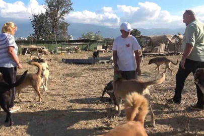 18 yıllık gönüllülük, 4,5 dönümlük yaşam evine dönüştü