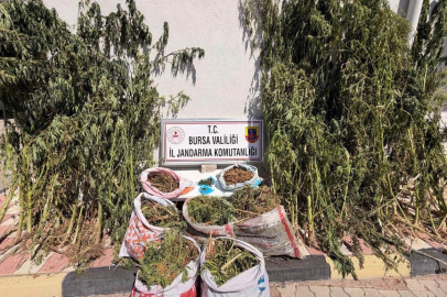 Bursa’da uyuşturucu operasyonu: 22 kilo 675 gram esrar ele geçirildi