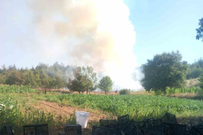 Bursa’da orman yangını: Havadan ve karadan müdahale başlatıldı