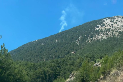Fethiye’de orman yangını