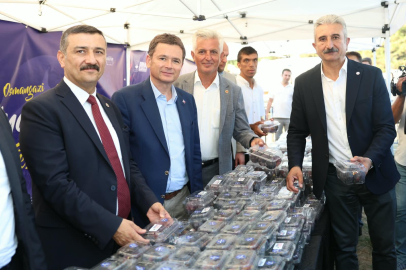 Osmangazi’nin Siyah İnciri Festivalle Buluştu