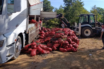 Bursa’da 8 ton midye ele geçirildi