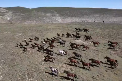 Akdağ’ın yılkı atları dronla görüntülendi