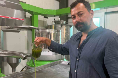 Avrupa ilaç yerine ilk hasat zeytinyağı içiyor