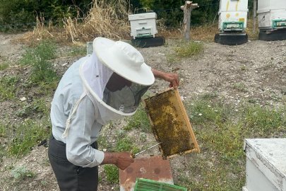 50 yıllık arıcı emekli başgardiyan 20 yıldır Avrupa'ya bal gönderiyor