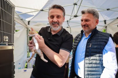 Büyükşehir'den can dostları için yuva seferberliği