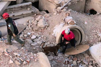 İnegöl’de K9’lara hayat kurtaran eğitim