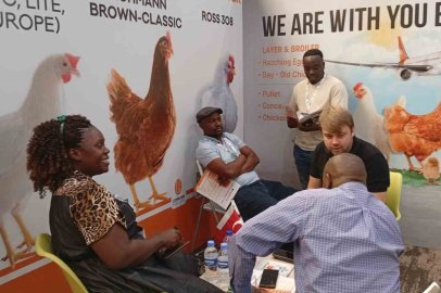 Küresel hayvancılık sektörünün yeni rotası Kigali’de belirlendi
