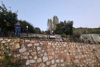 Villada yarım milyonluk paneller çalındı