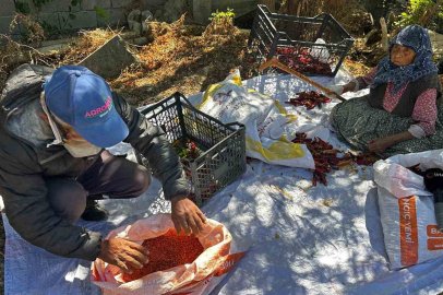 90 yaşındaki annenin evlat sevgisi acı biberi tatlı kıldı
