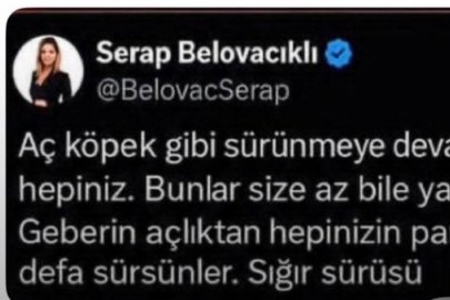 Gazeteci Serap Belovacıklı hakkında soruşturma başlatıldı