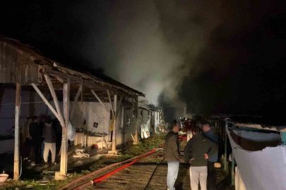 Bursa’da hayvan çiftliği alevlere teslim oldu