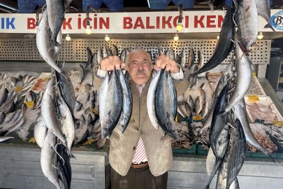 Palamutta bereket, kilosu 100 TL’ye düştü