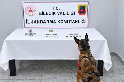 Narkotik köpeği uyuşturucuyu kokusundan buldu