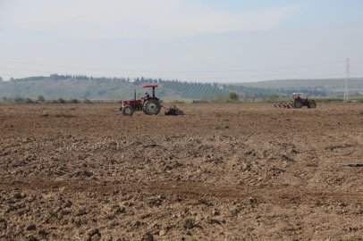 Bursa’da 150 dekarlık alanda yapay mera kuruluyor