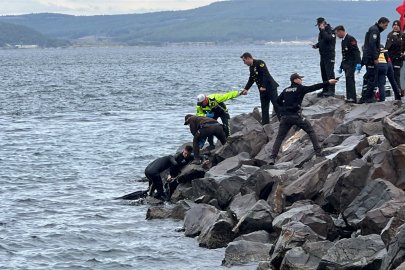 Çanakkale'de denizde erkek cesedi bulundu
