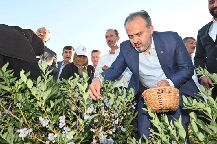 Bursa Büyükşehir'in çiftçiye desteği sürüyor