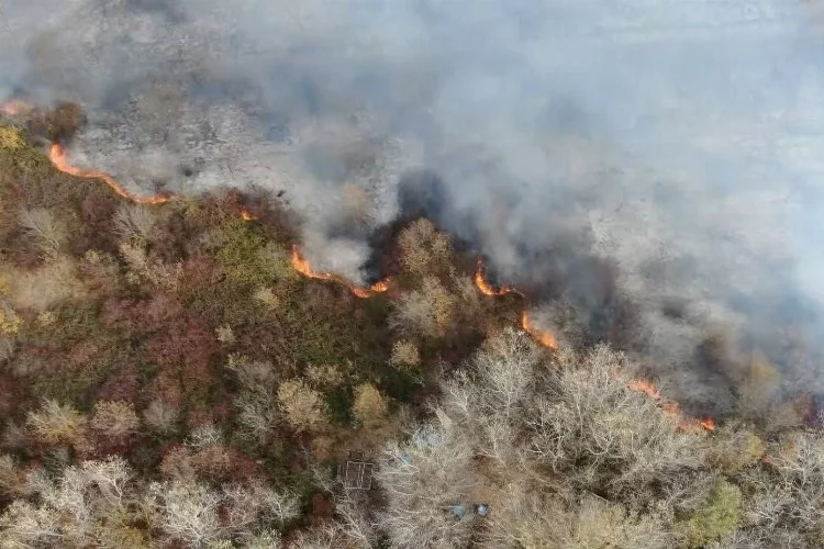 Bursa'da ormanlık alanda korkutan yangın havadan görüntülendi