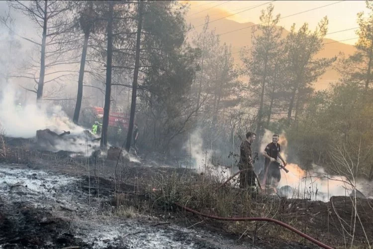 Kestel'deki orman yangını kontrol altına alındı