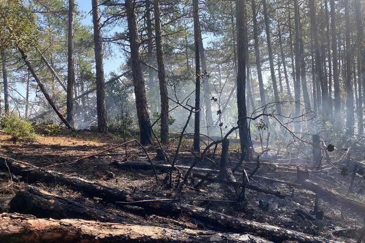Kütahya'daki orman yangını için Bursa'dan yardım seferberliği