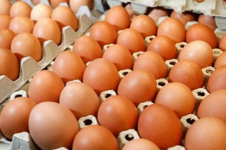 Mart ayında en fazla yumurta ucuzladı