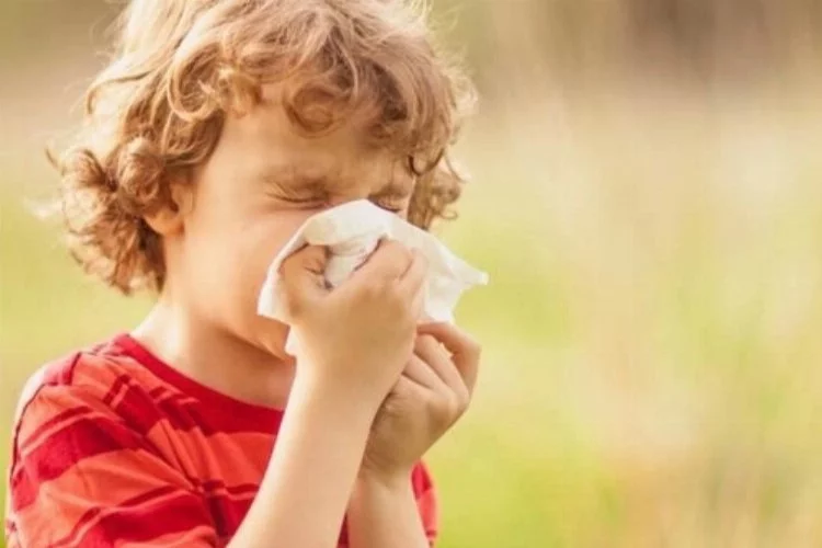 Sonbahar alerjisiyle başa çıkmanın yolları   