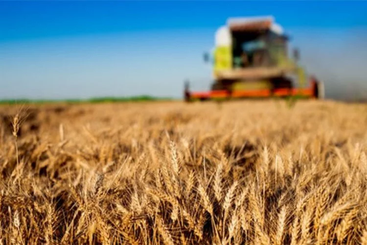 Tarım-ÜFE yıllık yüzde 62,48 arttı