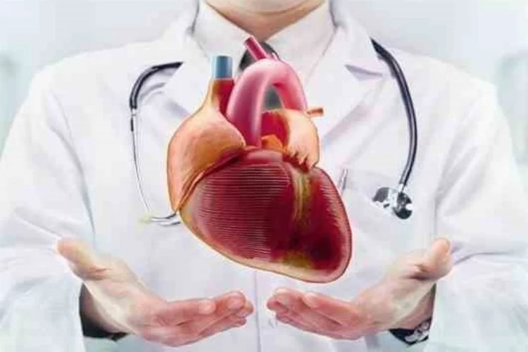 Uzmanlar uyardı! Kalp kapağı hastalıklarına dikkat!