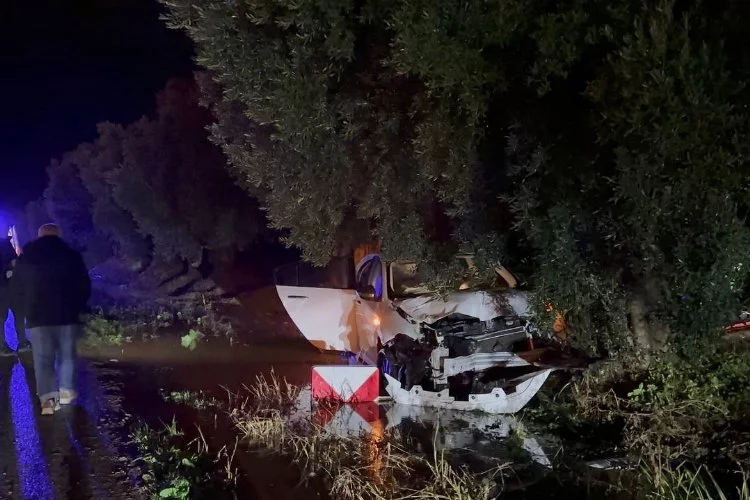 Zeytin ağacına çarpan sürücüsü kazadan hafif yaralı kurtuldu