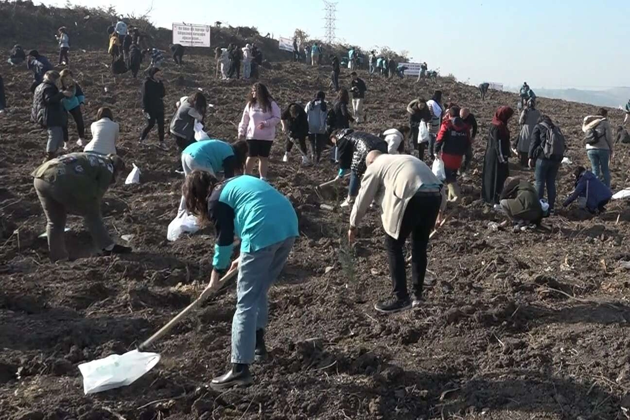 Bursa’da 50 bin fidan toprakla buluştu