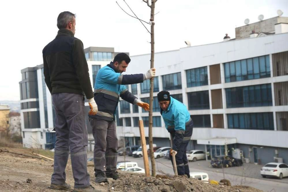 Nilüfer’de ağaçlandırma çalışmaları başladı