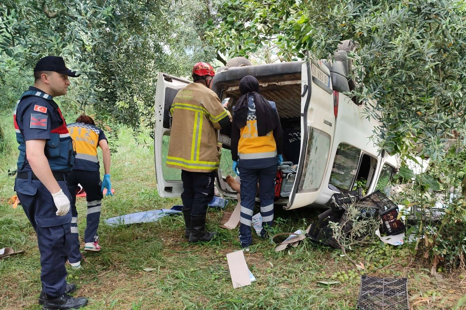 Topladığı erikleri satmaya götürürken, trafik kazasında hayatını kaybetti