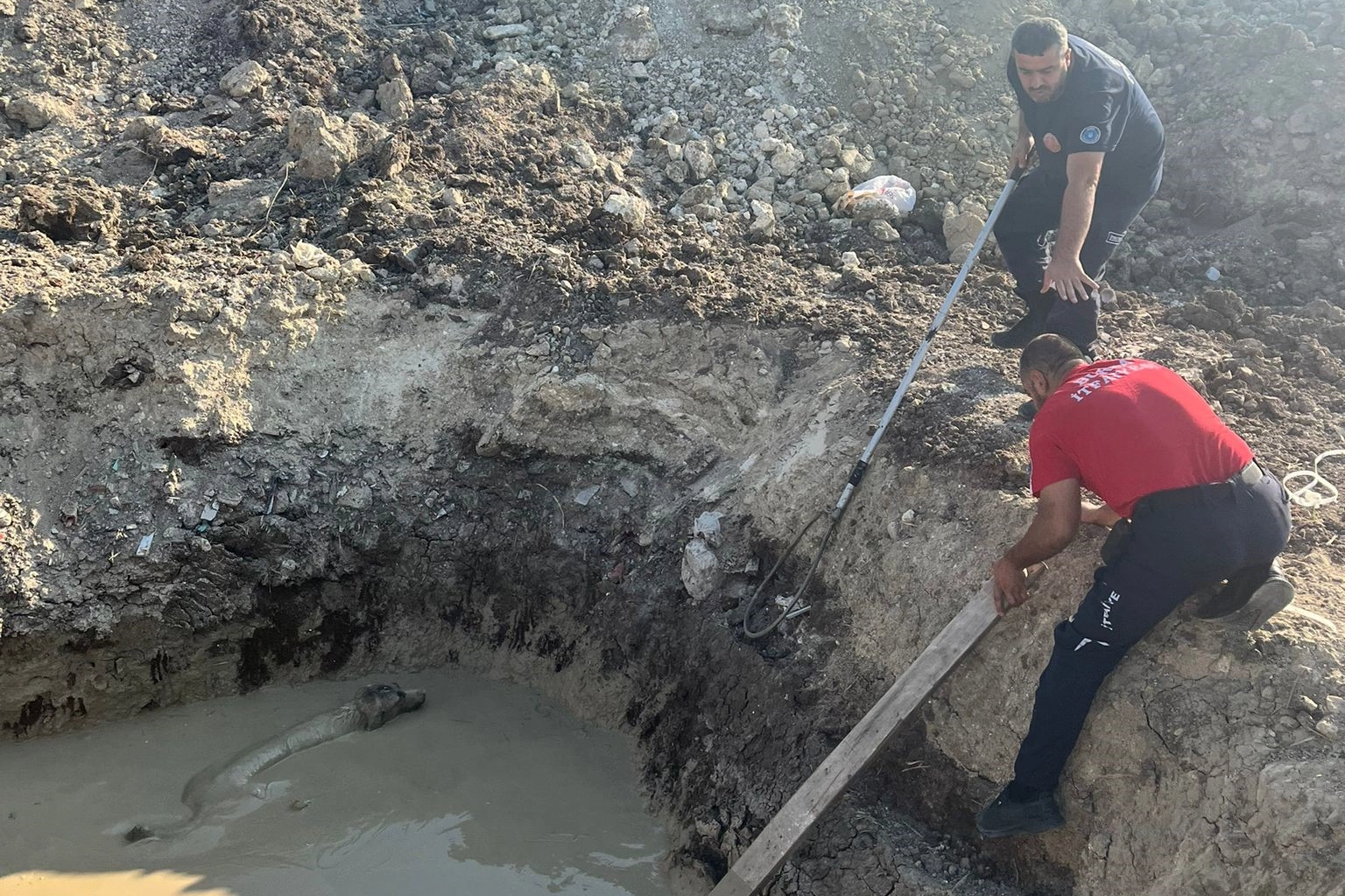 İtfaiye ekiplerinden köpek kurtarma operasyonu