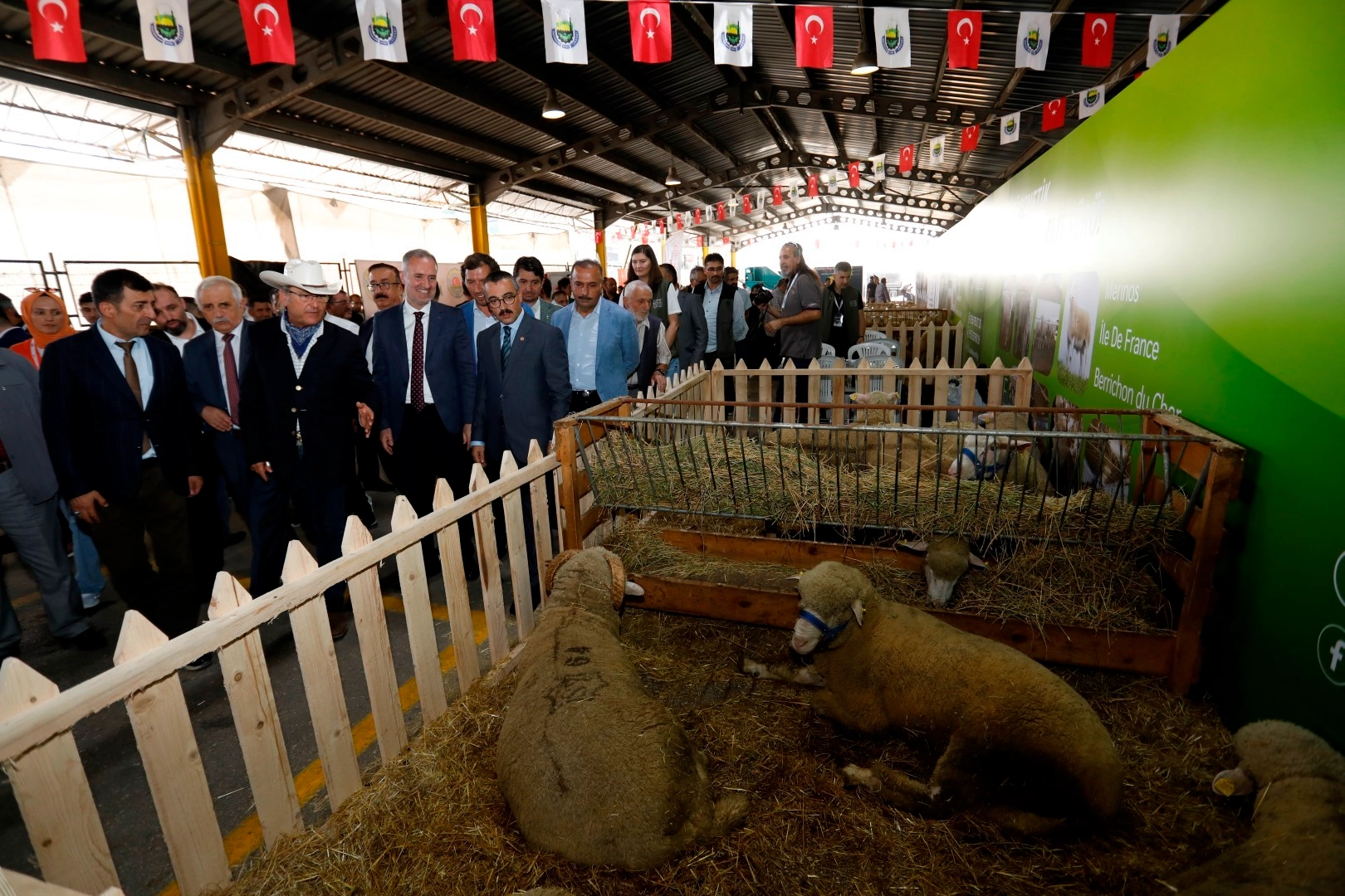 İnegöl'de küçükbaş hayvancılık festivali için geri sayım